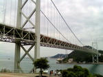 080817_1441~01.jpg