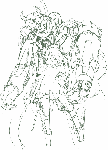 193.gif