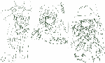 233.gif