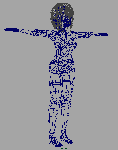 246.gif