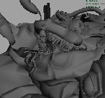 262.gif