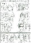 313.gif