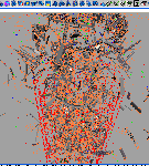 350.gif