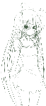 362.gif