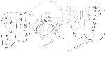 461.gif