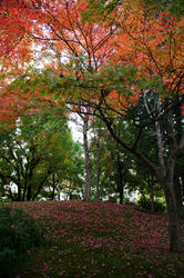 garden2.jpg