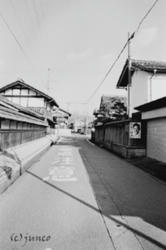 kitaoumi1.jpg