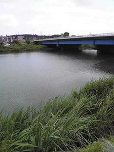 yachiyobasi.jpg