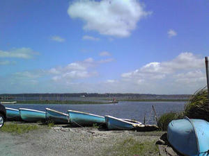 5c1b8793.jpg