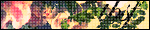 tbsf01.gif