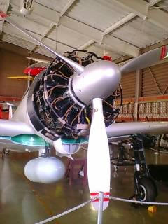 3099c1b9.JPG