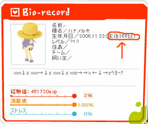 一周年+1