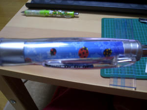 CIMG0684.jpg