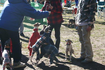 IMG_2581.JPGppc.jpg