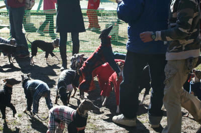 IMG_2583.JPGppc.jpg