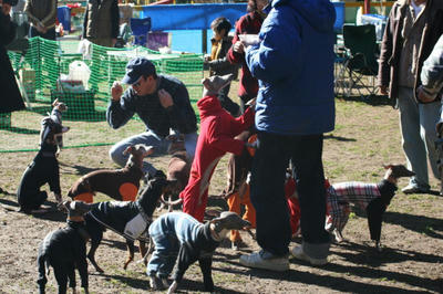 IMG_2585.JPGppc.jpg