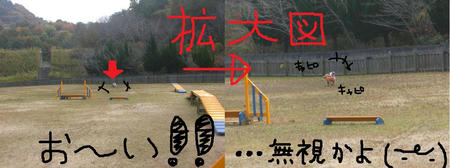 24cbc043.jpg