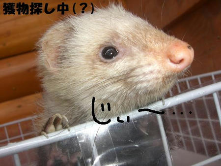 9f75fcc0.JPG