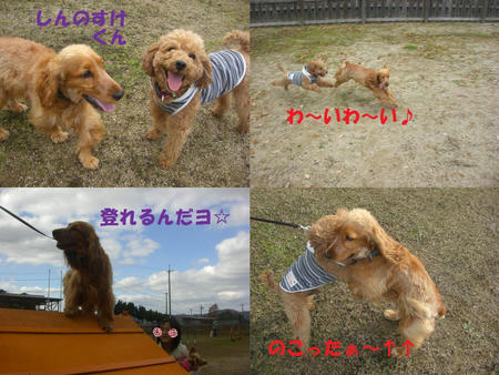 a4a0641b.jpg