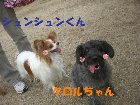 9951672a.JPG