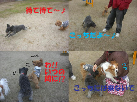9a53e842.jpg