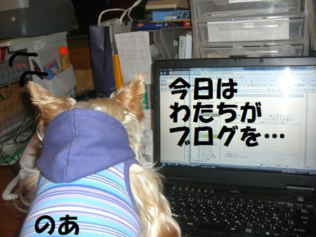 6f86a2b9.JPG
