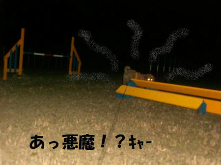 ab6e9caa.JPG