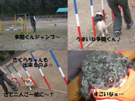 10a78a12.jpg