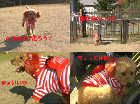 ed5fe81a.jpg