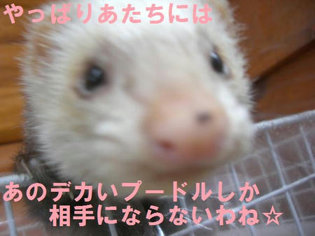 6101a4d8.JPG