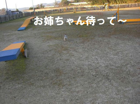 df346903.JPG