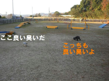 28661f93.JPG