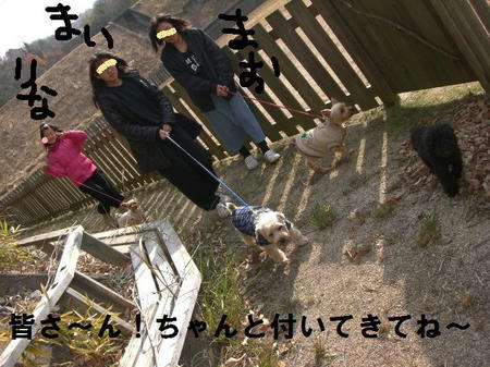 1fe61dd9.JPG