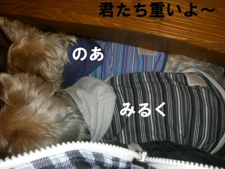 a5740286.JPG