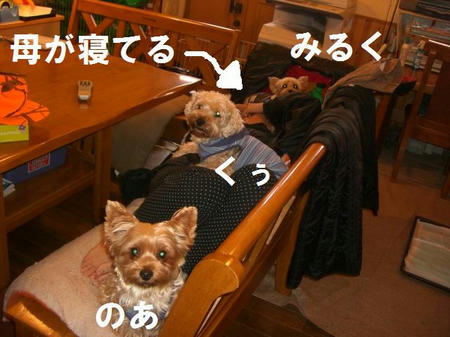 1db000ff.JPG