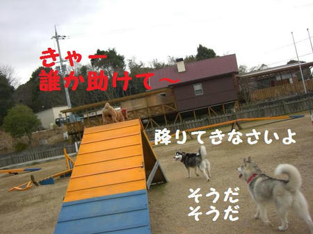 a5268845.JPG