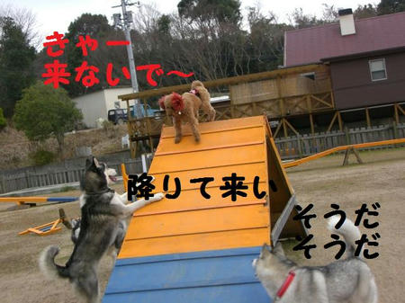 5d4fd182.JPG