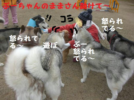 4a61c4aa.JPG