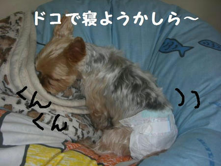d24c7e07.JPG
