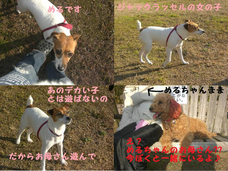 50a36d8a.jpg