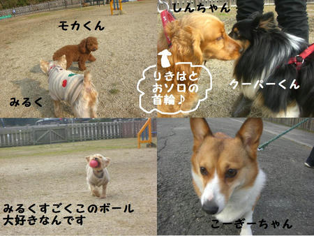 d55692a4.jpg