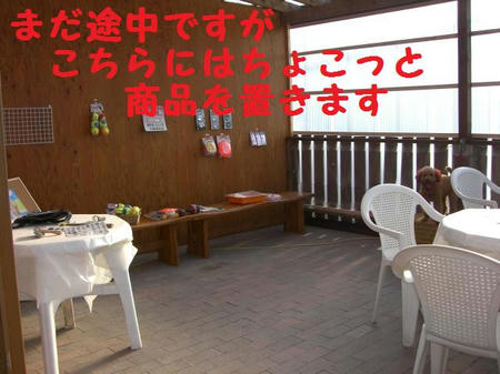 0c772697.JPG