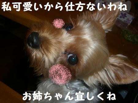 dd0a7669.JPG