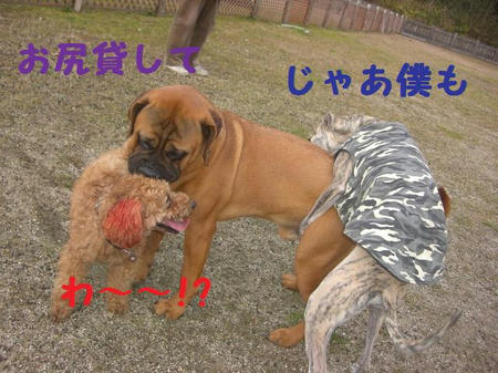 b6e0baf0.JPG