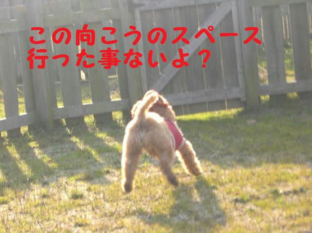063942b8.JPG