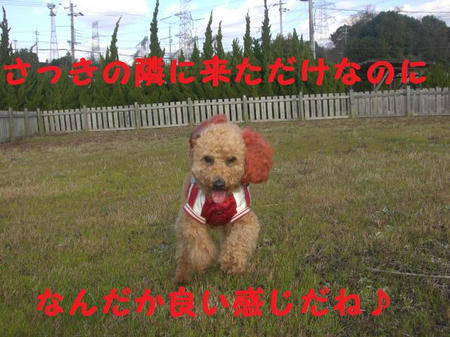05b6c84c.JPG