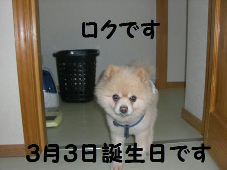 1c455924.JPG