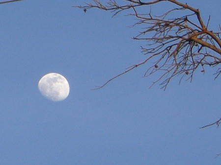 7f5771d2.JPG