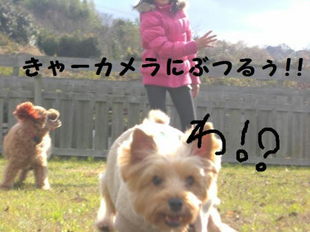 60f0b24c.JPG