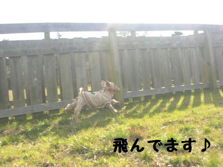 287064cc.JPG